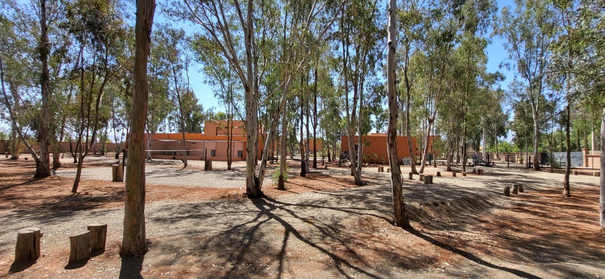 Le Jardin De Jeanne Villa Marrákes Kültér fotó